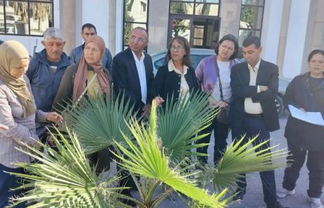 المناطق الخضراء 5jpg